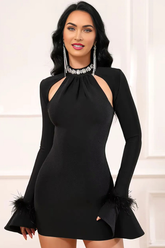 Feather Detail Long Sleeve Crystal Dress