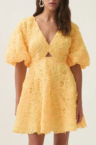 Florential Mini Swing Dress