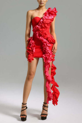 Selma One Shoulder Ruffled Mini Dress