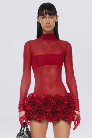 Sally Mock Neck Sheer Mini Dress
