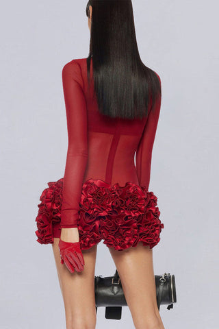 Sally Mock Neck Sheer Mini Dress