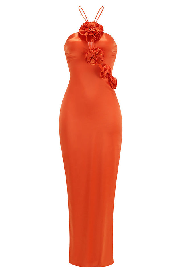 Liri Maxi Dress