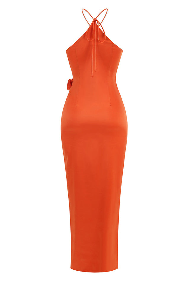 Liri Maxi Dress