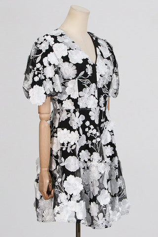 Chayan Flower Embroidery Mini Dress