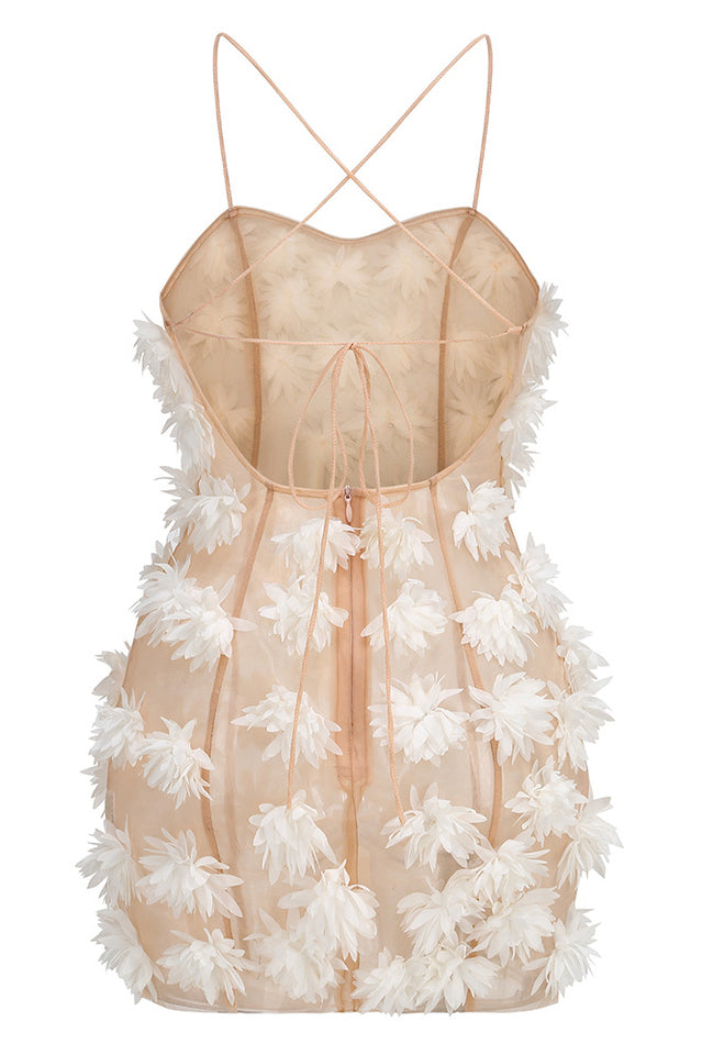 Floral Detail Mesh Dress