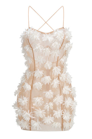 Floral Detail Mesh Dress