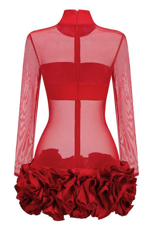 Sally Mock Neck Sheer Mini Dress