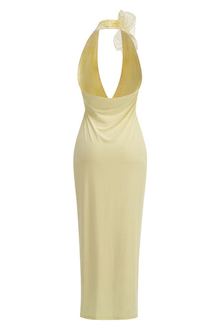 Sheike Halter Floral Maxi Dress