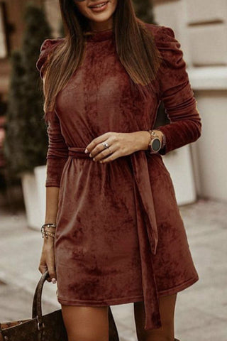 Casual Long Sleeve Mini Dress(4 Colors)