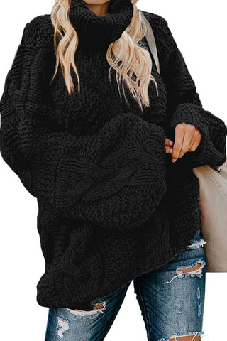 Twisted Knit Long Sleeve Sweater