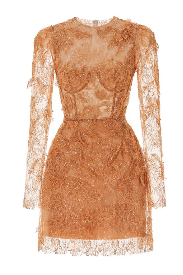 Honey Beaded Lace Mini Dress