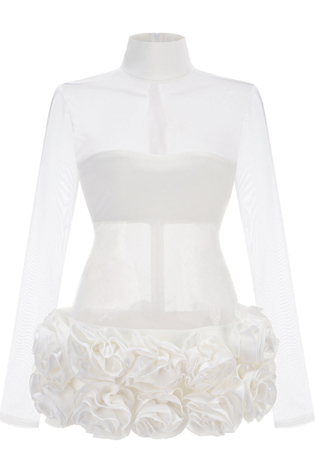 Sally Mock Neck Sheer Mini Dress