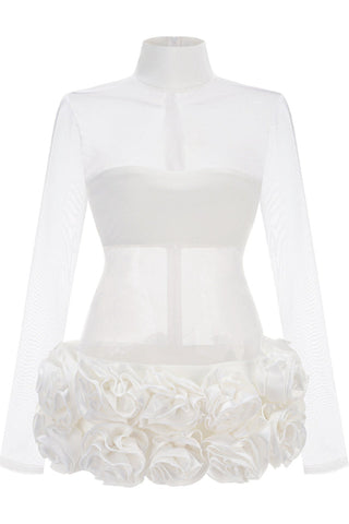 Sally Mock Neck Sheer Mini Dress