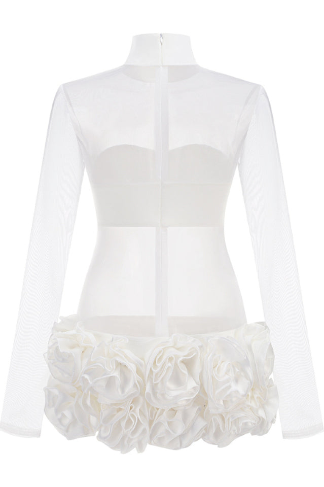 Sally Mock Neck Sheer Mini Dress