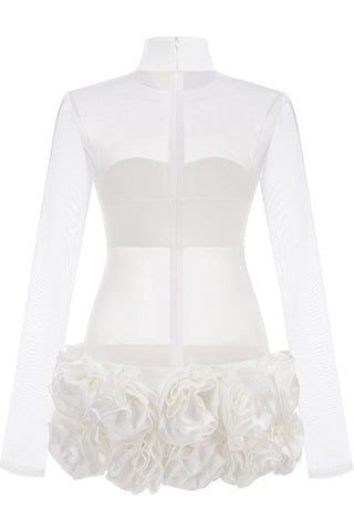 Sally Mock Neck Sheer Mini Dress