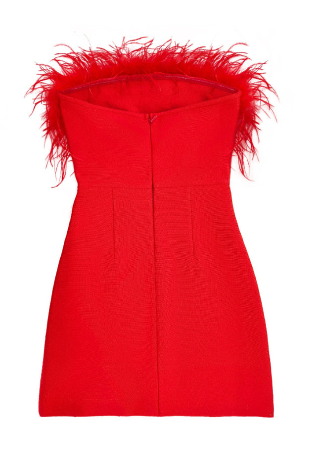 Design Mini Dress