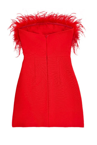 Design Mini Dress
