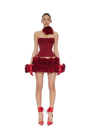 Red Rosa Dress