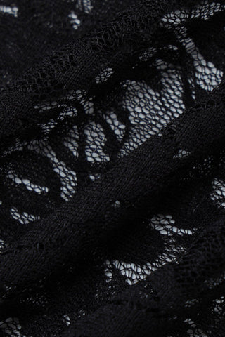 See Through Lace Mini Dress