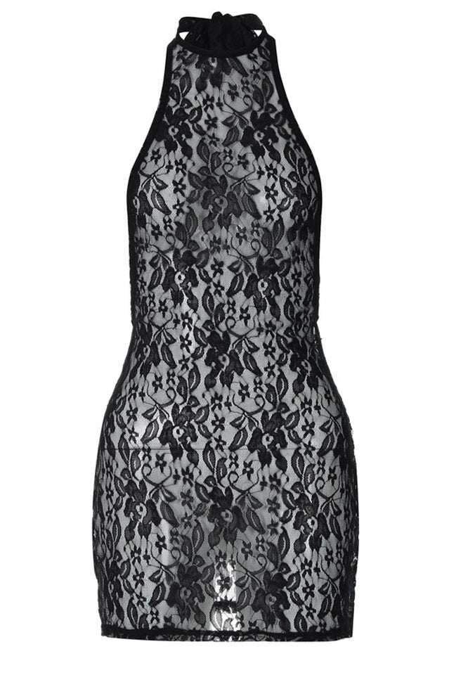 See Through Lace Mini Dress