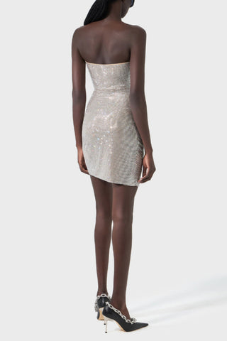 Strapless Floral Studded Dress