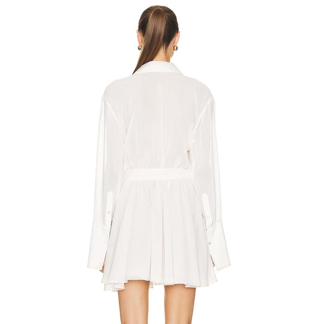 Delicate Dahlia Sheer Shirt Mini Dress