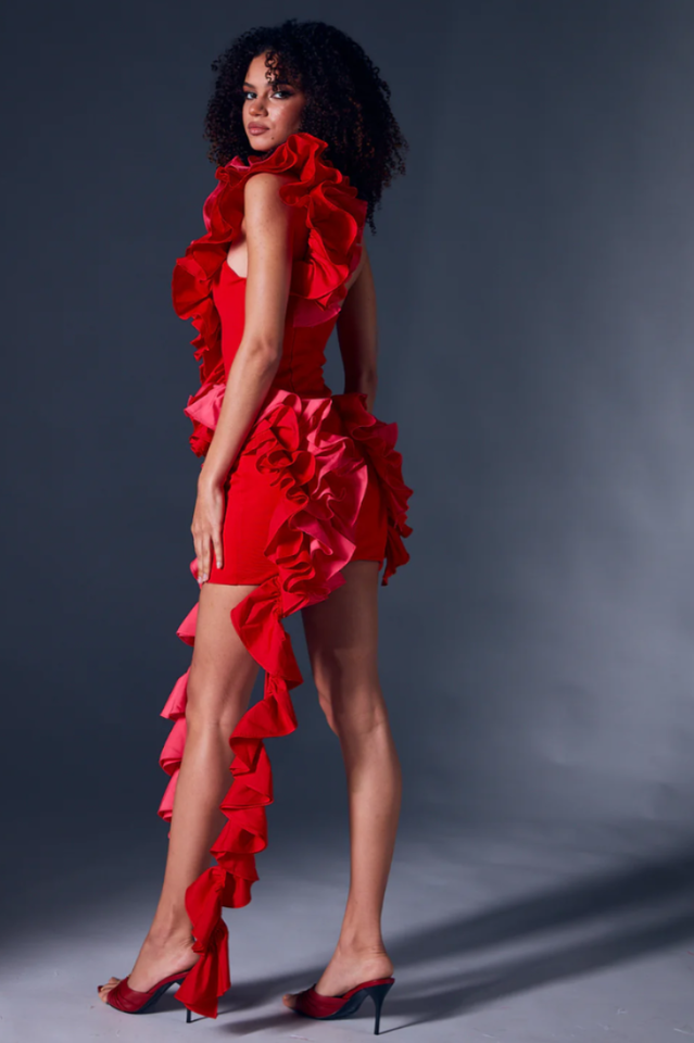 Selma One Shoulder Ruffled Mini Dress
