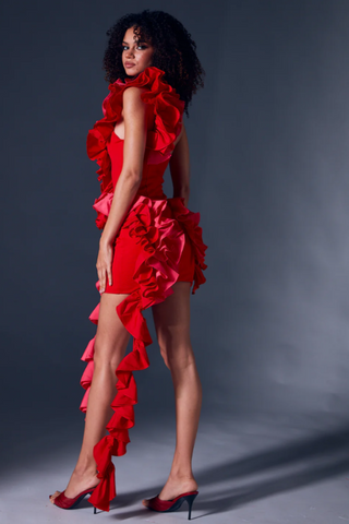 Selma One Shoulder Ruffled Mini Dress