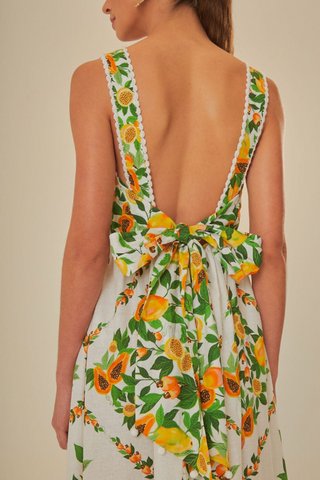 Papaya Salad Scarf Print Maxi Sundress