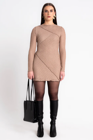 Celaena Long-Sleeve Mini Dress