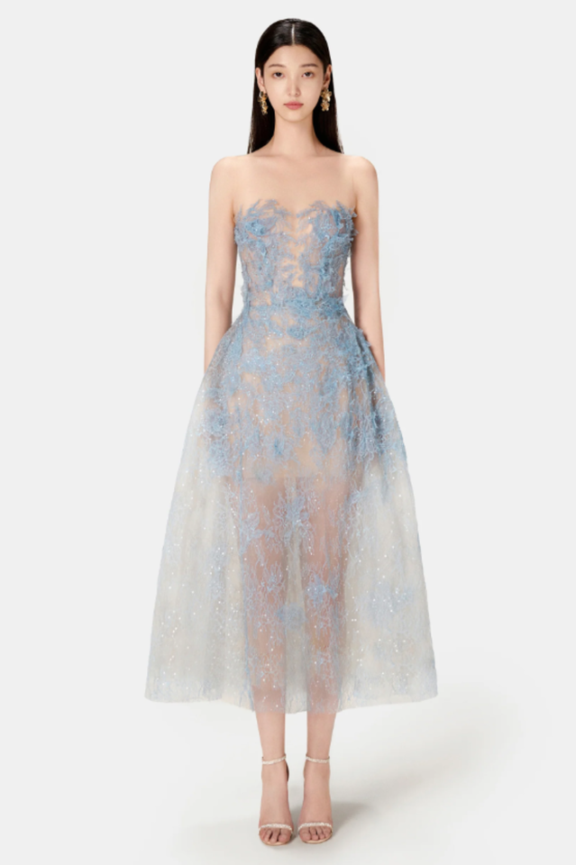 Beaded Lace Dress