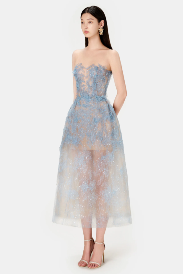 Beaded Lace Dress