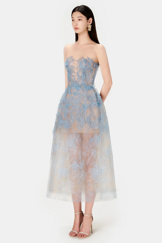 Beaded Lace Dress