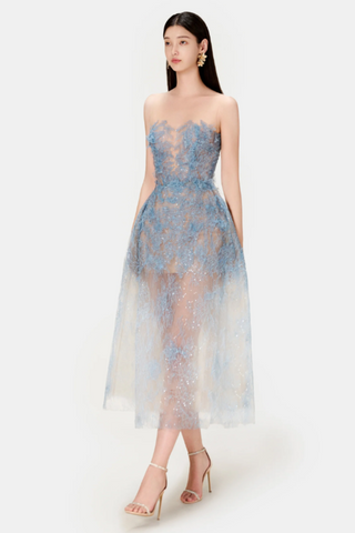 Beaded Lace Dress