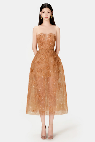 Beaded Lace Dress