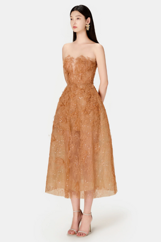 Beaded Lace Dress
