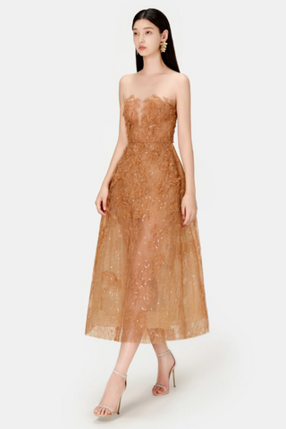 Beaded Lace Dress