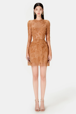 Honey Beaded Lace Mini Dress