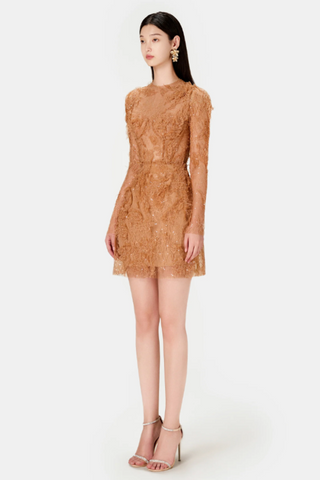 Honey Beaded Lace Mini Dress