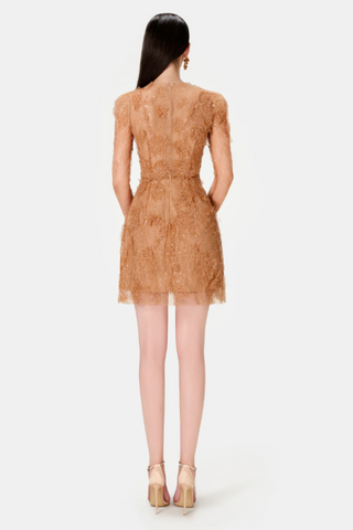 Honey Beaded Lace Mini Dress