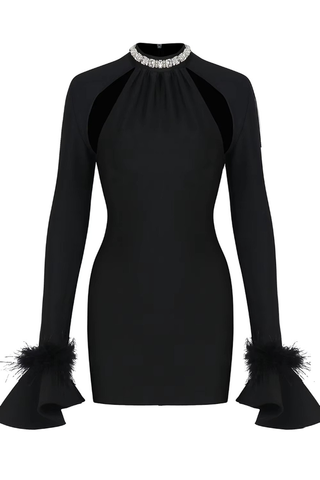 Feather Detail Long Sleeve Crystal Dress