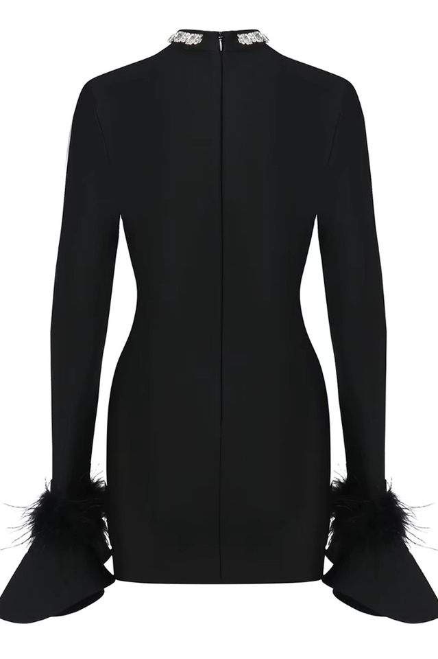 Feather Detail Long Sleeve Crystal Dress