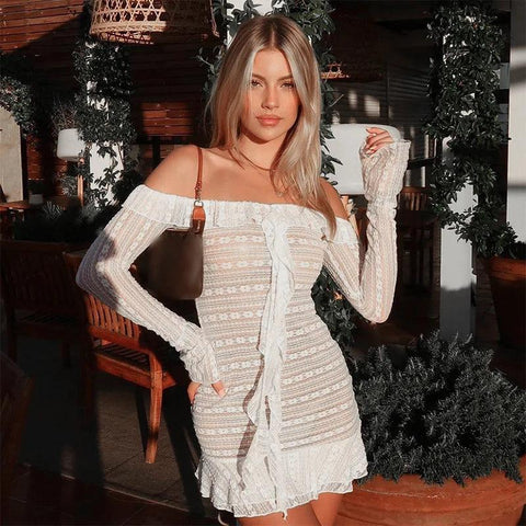 Girly Vibes Textured Sheer Lace Mini Dress