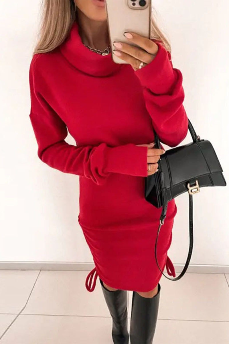 Turtleneck Drawstring Bodycon Dress