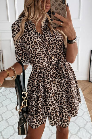 Animal Print Belted Mini Dress