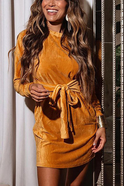 Velvet Twist Long Sleeve Mini Dress