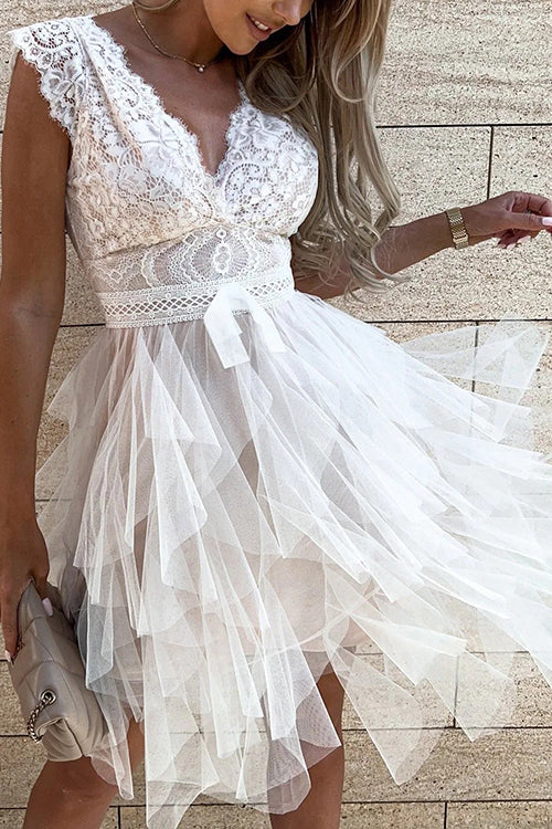 Lace Mesh V Neck Tank Cake Dress