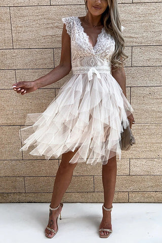 Lace Mesh V Neck Tank Cake Dress